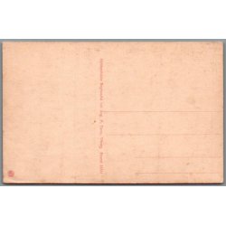 Viborg - Parti ved Salonen - Postkort - Ubrugt