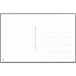 Viborg - Salonen - Postkort - Ubrugt