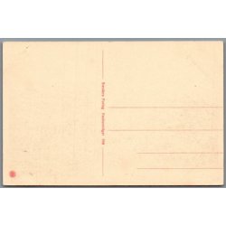 Salonen - Viborg - Postkort - Ubrugt