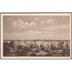 Kongenshus - Ren Hjord - Postkort - Ubrugt