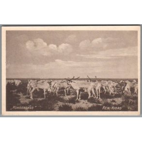 Kongenshus - Ren Hjord - Postkort - Ubrugt