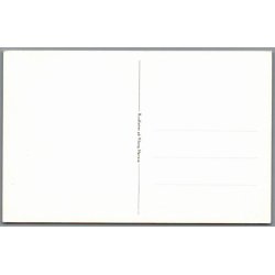 Rundfart Viborg n�rres� - Postkort - Ubrugt