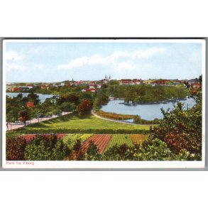 Parti fra Viborg - Postkort - Ubrugt