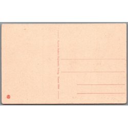 Viborg - Udsigt til  Asmild Bakker - Postkort - Ubrugt