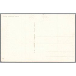 Viborg - Udsigt fra Asmild - Postkort - Ubrugt