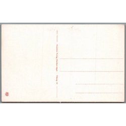 Viborg - Udsigt fra Asmild - Postkort - Ubrugt