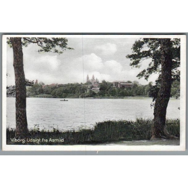 Viborg - Udsigt fra Asmild - Postkort - Ubrugt