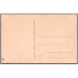 Viborg - Udsigt fra Raunsbjerg - Postkort - Ubrugt