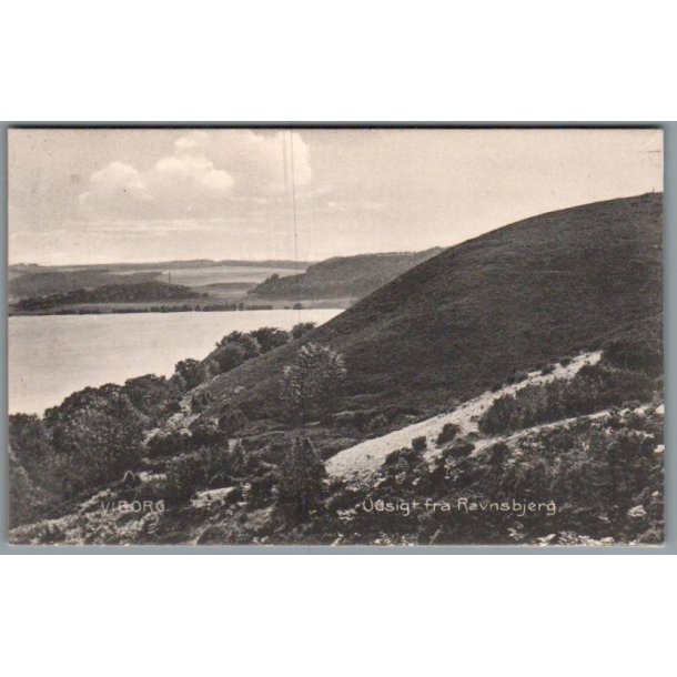 Viborg - Udsigt fra Raunsbjerg - Postkort - Brugt