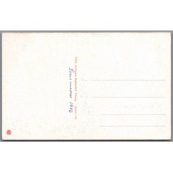 Viborg - Fra Hald Egeskov - Postkort - Ubrugt