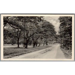 Viborg - Fra Hald Egeskov - Postkort - Ubrugt