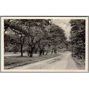 Viborg - Fra Hald Egeskov - Postkort - Ubrugt