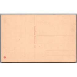 Viborg - Parti fra Hald - Postkort - Ubrugt