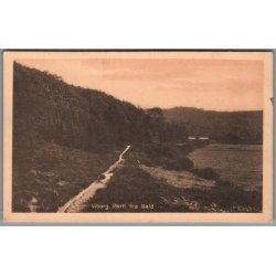 Viborg - Parti fra Hald - Postkort - Ubrugt