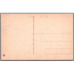 Viborg - Hald S� set fra Raunsbjerg - Postkort - Ubrugt