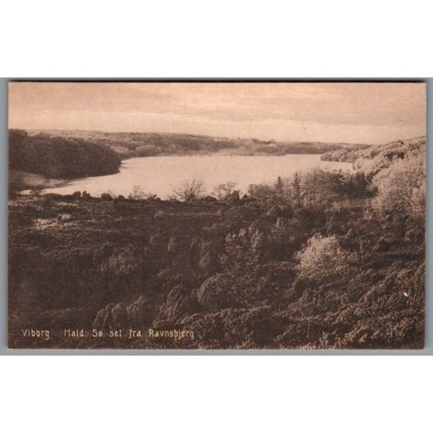 Viborg - Hald S� set fra Raunsbjerg - Postkort - Ubrugt