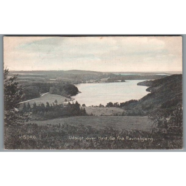 Viborg - Udsigt over Hald S� set fra Raunsbjerg - Postkort - Brugt
