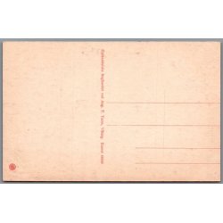 Viborg - Hald S� med Ruinerne i Baggrunden  - Postkort - Ubrugt