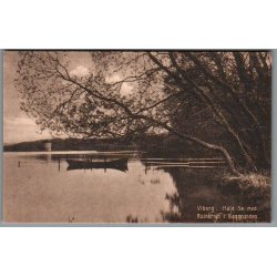 Viborg - Hald S� med Ruinerne i Baggrunden  - Postkort - Ubrugt