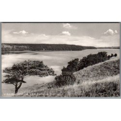 Viborg - Hald S� ved Dollerup Bakker - Postkort - Ubrugt