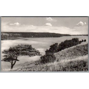 Viborg - Hald S� ved Dollerup Bakker - Postkort - Ubrugt