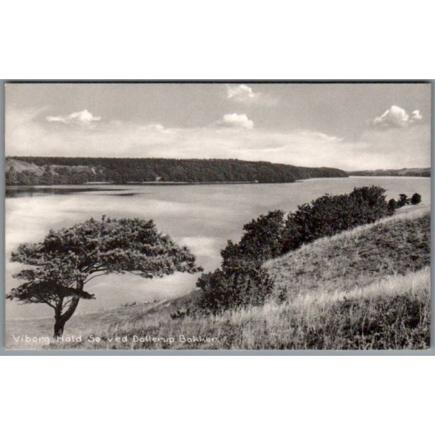 Viborg - Hald S� ved Dollerup Bakker - Postkort - Ubrugt