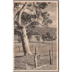 Viboirg - Ved Hald S� - Postkort - Brugt