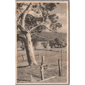 Viboirg - Ved Hald S� - Postkort - Brugt