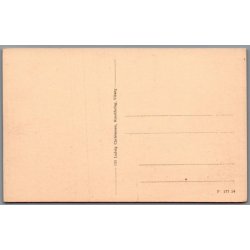 Hald S� ved Viborg - Postkort - Ubrugt