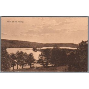 Hald S� ved Viborg - Postkort - Ubrugt