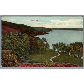 Hald S� - Postkort - Ubrugt