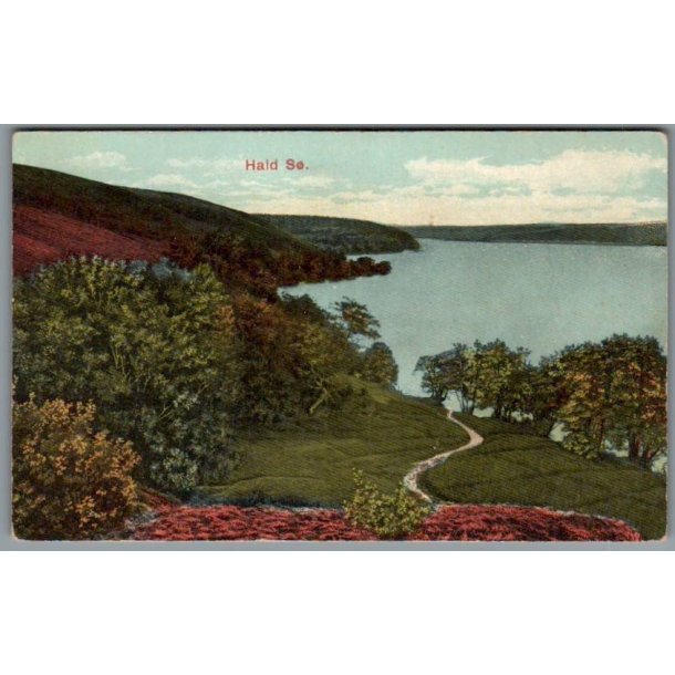 Hald S� - Postkort - Ubrugt