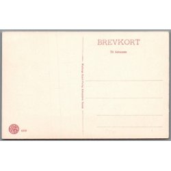 Viborg - Hald S� - Postkort - Ubrugt