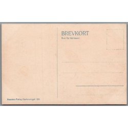 Viborg - Hald Ruin efter Restaurationen - Postkort - Ubrugt