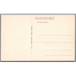 Hald Ruin efter Restaurationen - Postkort - Ubrugt