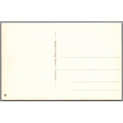 Viborg - Fra Hald Ruiner - Postkort - Ubrugt