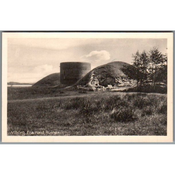 Viborg - Fra Hald Ruiner - Postkort - Ubrugt