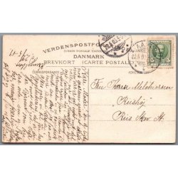 Ruinerne ved Hald - Postkort - Brugt