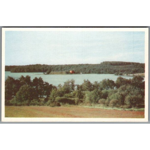 Viborg - Udsigt mod Hald Ruiner - Postkort - Ubrugt