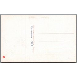 Viborg - Udsigt mod Hald Ruiner - Postkort - Ubrugt