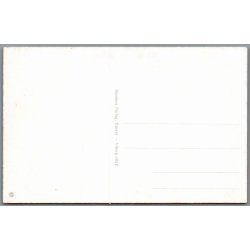 Viborg - Udsigt mod Hald Ruiner - Postkort - Ubrugt