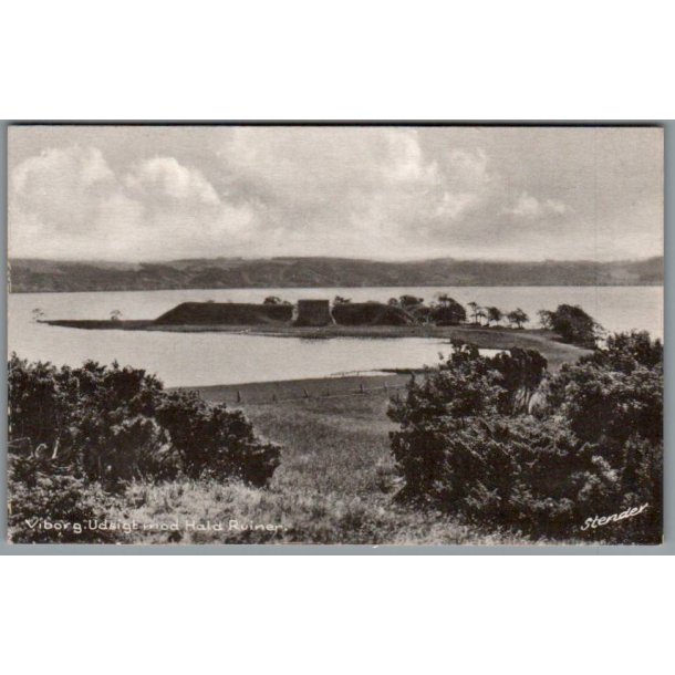 Viborg - Udsigt mod Hald Ruiner - Postkort - Ubrugt