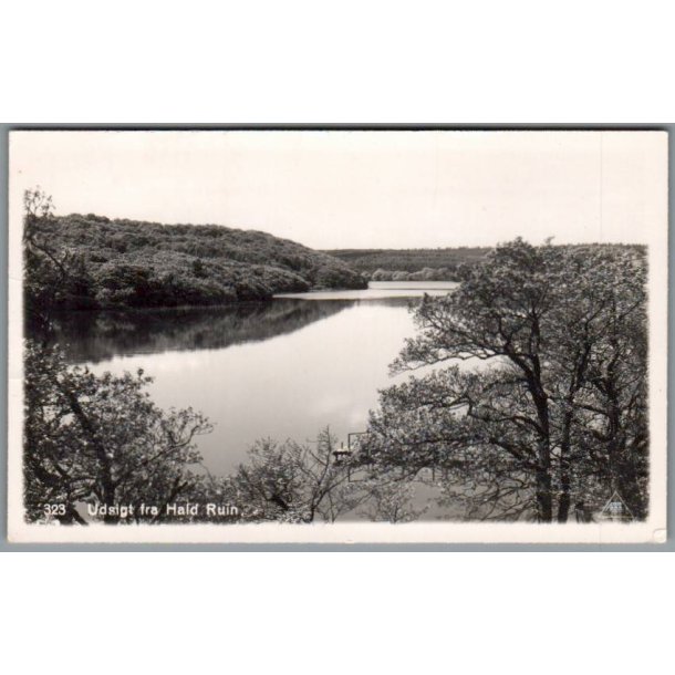 Udsigt fra Hald Ruin - Postkort - Brugt