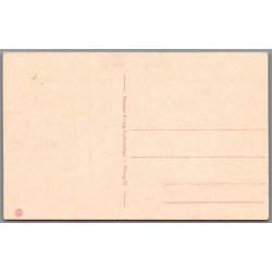 Viborg - Hald Ruin- Postkort - Ubrugt