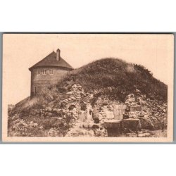 Viborg - Hald Ruin- Postkort - Ubrugt