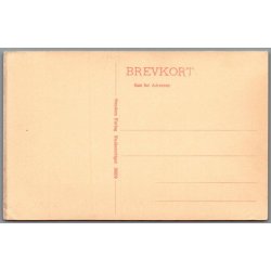 Viborg - Hald Ruin- Postkort - Ubrugt