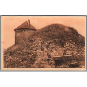 Viborg - Hald Ruin- Postkort - Ubrugt