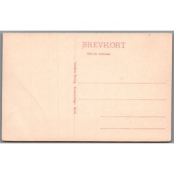 Hald Ruiner - Postkort - Ubrugt