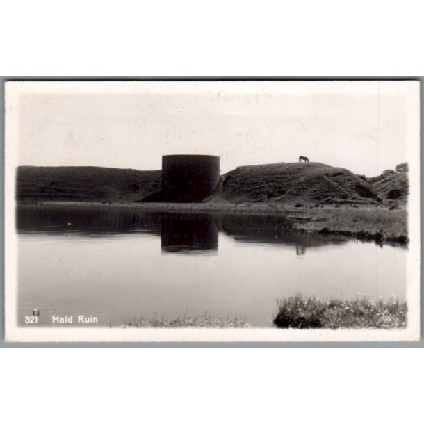 Hald Ruin - Postkort - Brugt