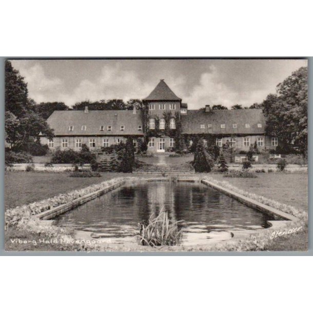 Viborg - Hald Hovedgaard - Postkort - Ubrugt